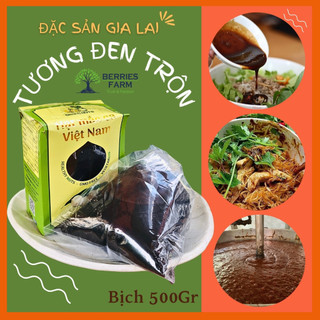 Bịch 500Gr TƯƠNG ĐEN trộn Phở Khô Gia Lai siêu ngon, gia vị sốt chuẩn tương hột ăn liền Berries Farm