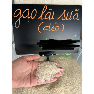 Gạo lài sữa dẻo bao 5kg