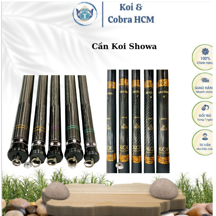 [HCM] Cần câu tay Koi Showa - Cần câu diếc, chép, rô...