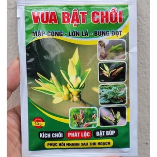 Phân bón lá Vua Bật Chồi kích chồi bung đọt