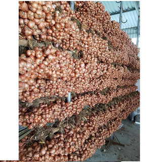 500g Hành củ bắc dùng làm hành phi