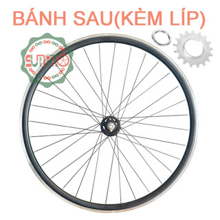 Bánh xe đạp FIXED GEAR đùm bạc đạn