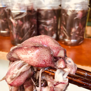   Siêu Sale  Hủ Mắm Mực Loại 1  500Gr  - Đặc Sản Xứ Nẫu - Hàng Chính Gốc Bình Định 