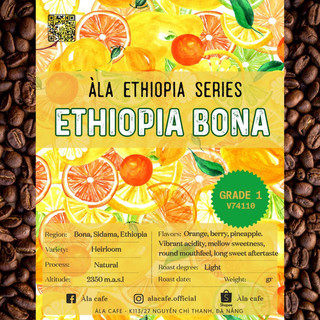 Cà phê Specialty Ethiopia Sidama Bona Natural G1 rang light gói 200gram