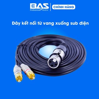 Dây canon âm ra 2 AV hoa sen Kiwi, dây audio lõi đồng