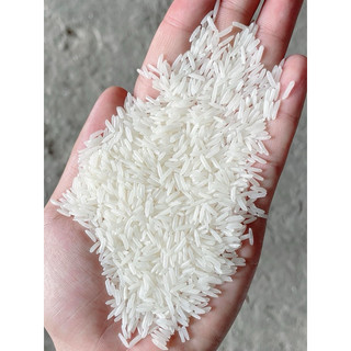 gạo st 25 bao 5kg