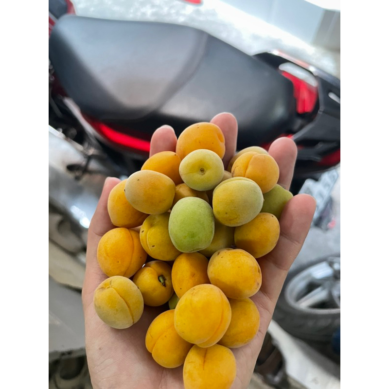 mơ thóc 2 kí ( hỏa tốc HCM)