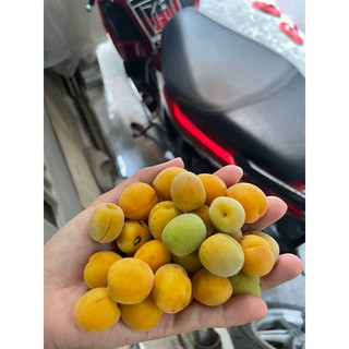 mơ thóc 2 kí ( hỏa tốc HCM)