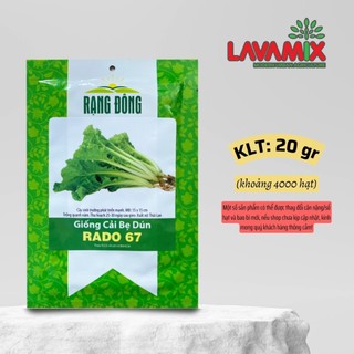 Hạt giống Cải Bẹ Dún Rado 67 (20g~4000 hạt) hiệu Rạng Đông trồng quanh năm, sinh trưởng khỏe | Green House