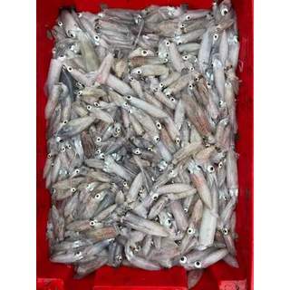 Mực nháy đóng vỉ