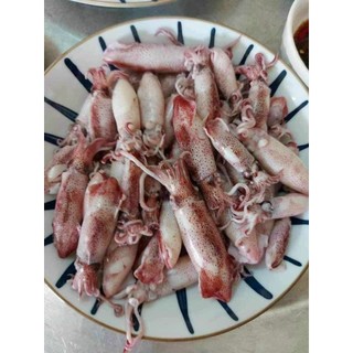 Mực nháy đóng vỉ