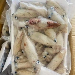 Mực nháy đóng vỉ