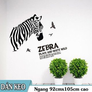 Decal trang trí tường Chú ngựa vằn đen ZEBRA