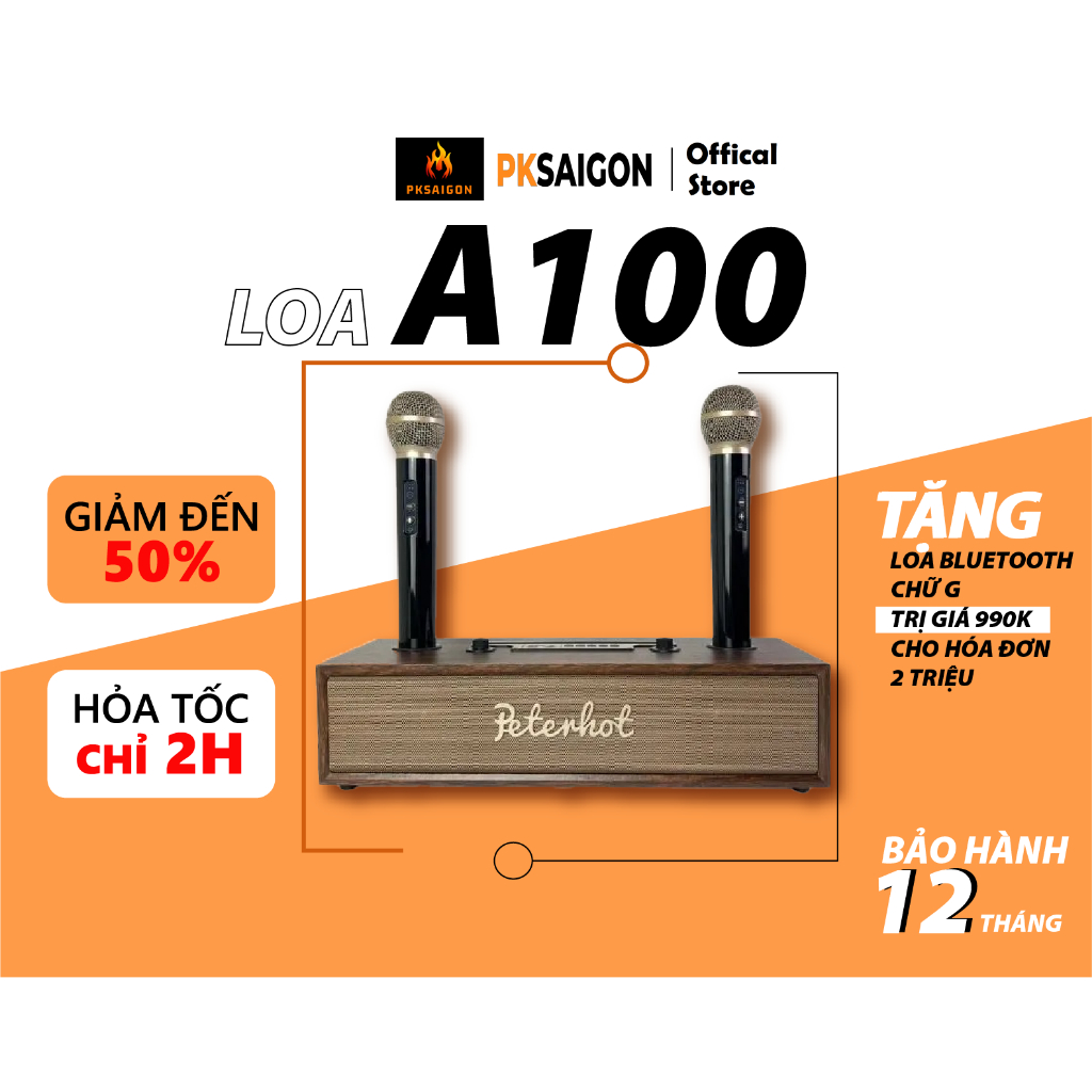 Loa Karaoke Bluetooth PETERHOT A100 cao cấp kèm 2 micro, công suất 20W bass trầm, thiết kế vỏ gỗ sang trọng PKSAIGON .