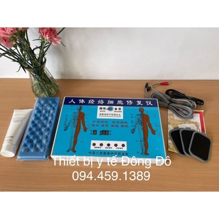 Máy trị liệu điện sinh học DDS thế hệ thứ 6, máy dds6