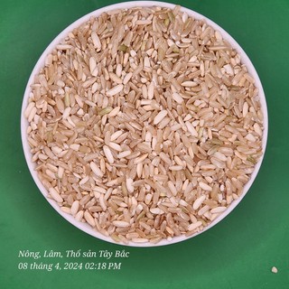 Gạo lứt séng cù, mường vi, lào cai