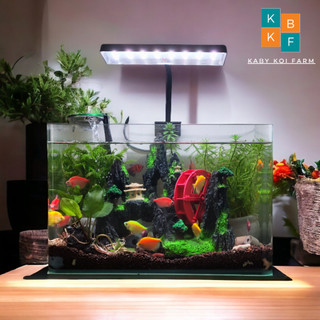 Đèn led kẹp trang trí hồ cá xuan me long, đèn led bể cá cảnh xml.
