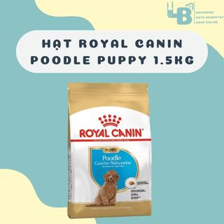 Royal canin poodle puppy