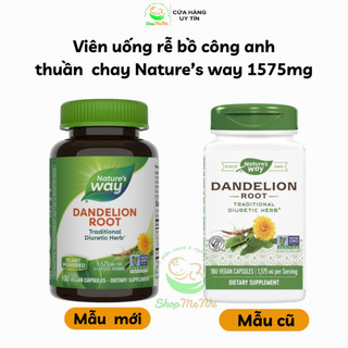Viên uống rễ bồ công anh Nature’s Way Dandelion Root 100 viên.