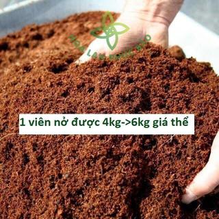 Viên nén xơ dừa