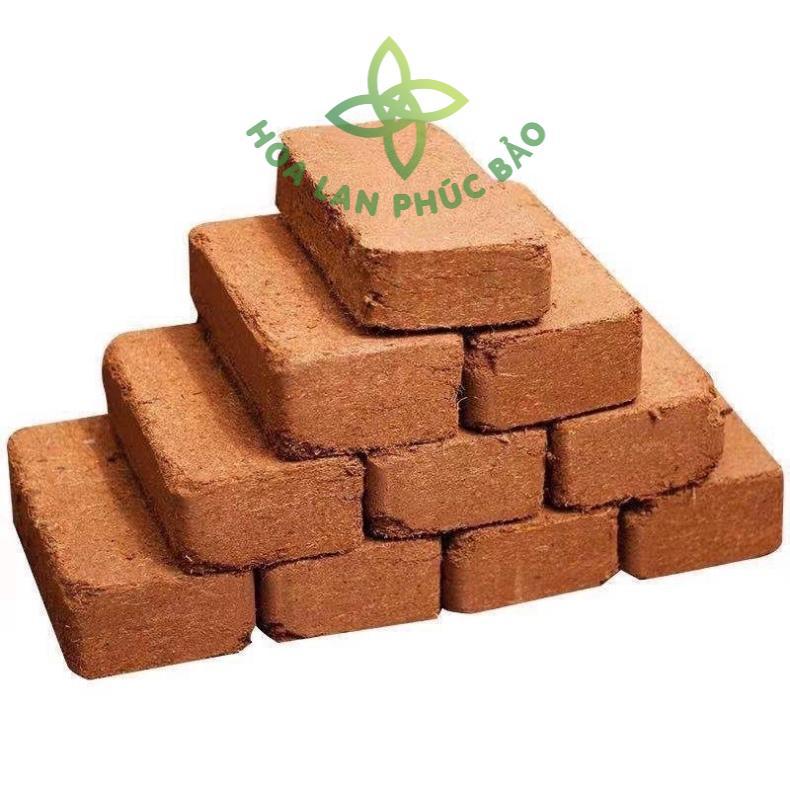 Viên nén xơ dừa