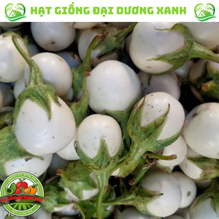 Hạt Giống Cà Pháo Trắng (20 HẠT) tặng kèm phân