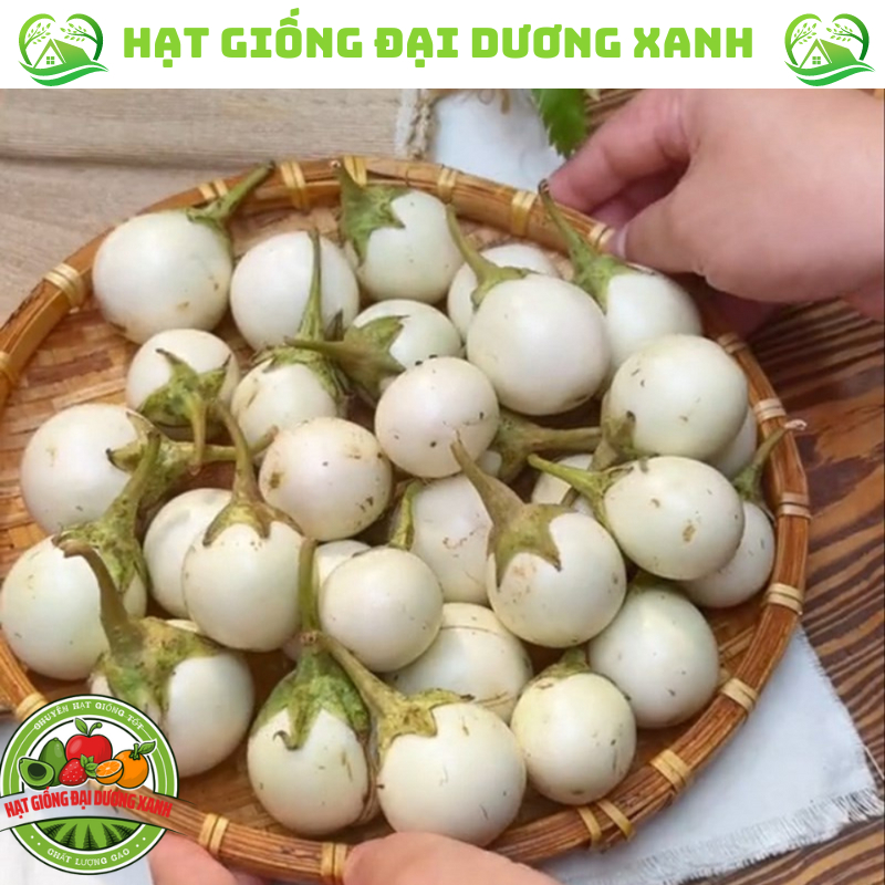 Hạt Giống Cà Pháo Trắng (20 HẠT) tặng kèm phân