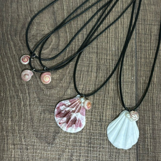 (CÓ SẴN)VÒNG CỔ VỎ SÒ 🐚🪸🐚🪸