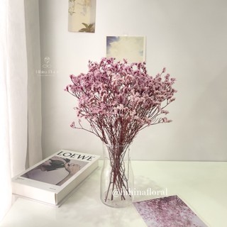 Hoa khô limonium trắng cắm thả bình trang trí bàn làm việc, nhà cửa