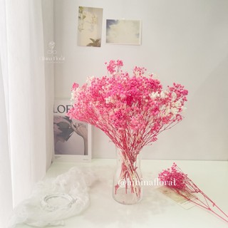 Hoa Khô Hoa Baby Khô Trang Trí Phòng Ngủ Decor Bàn Làm Việc Xinh