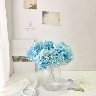 Hoa Cẩm Tú Cầu Khô Hoa Khô Trang Trí Decor Phụ Kiện Chụp Ảnh