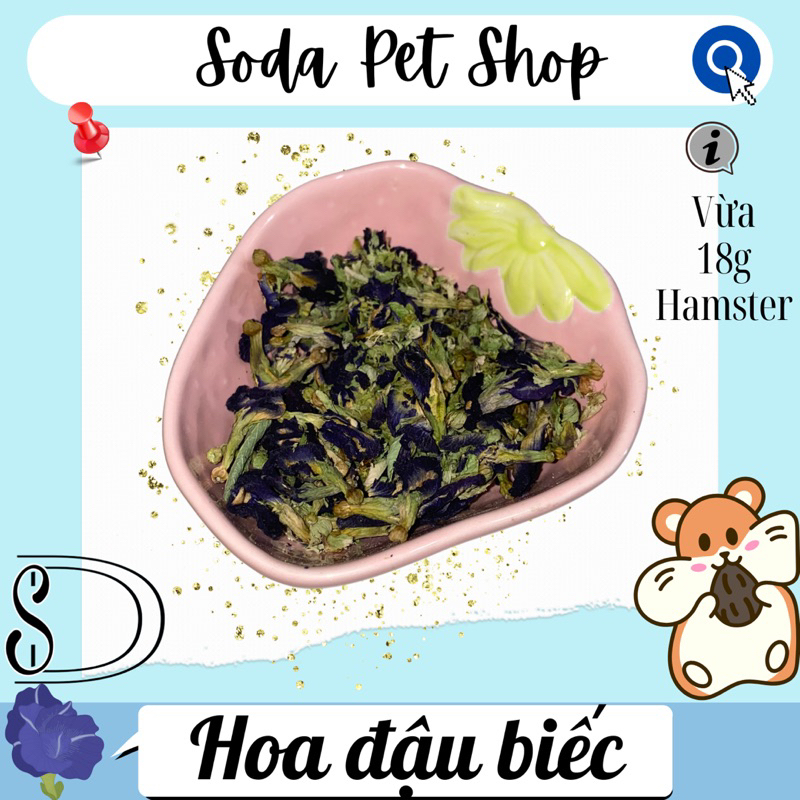 Hoa Đậu Biếc Cho Hamster