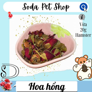 Hoa Hồng Sấy Cho Hamster
