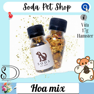 Hoa Mix Cho Hamster