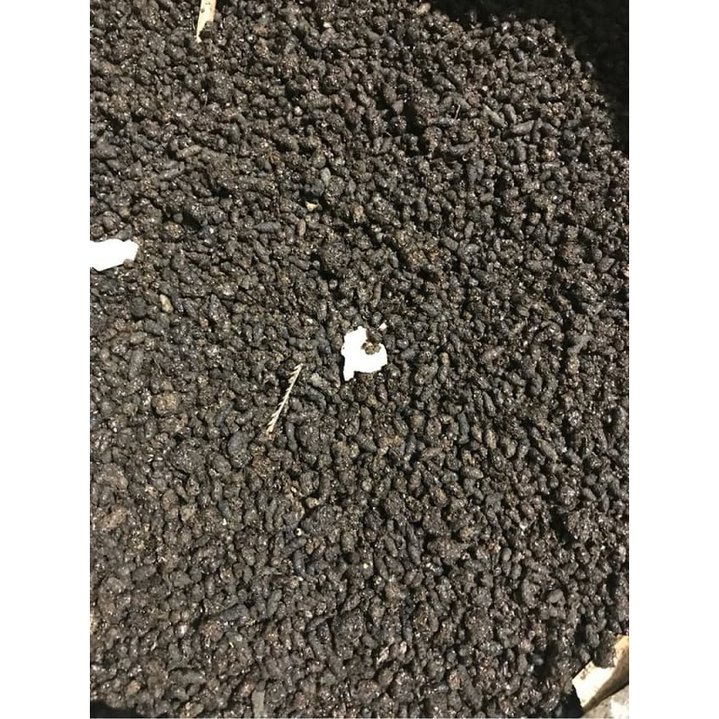 Phân bón cho cây chúc (phân dơi 20 gr)