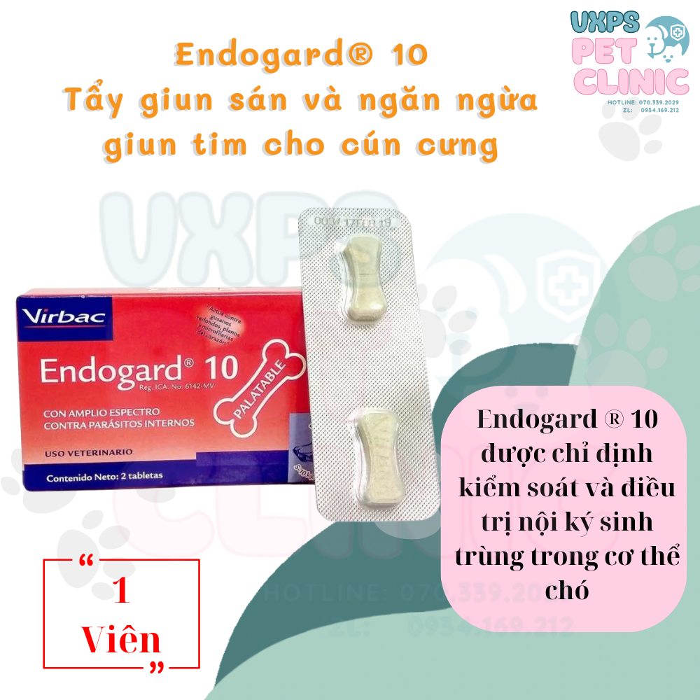 En-do.ga.rd 10. quét sạch gi.un sá..n , gi.un tim dành cho cún