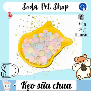 Kẹo Sữa Chua Cho Hamster