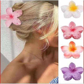 Kẹp hoa sứ hot trend đủ màu xinh xắn size 8cm