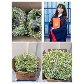 Vòng đội đầu chụp ảnh kỷ yếu. Vòng đội đầu hoa babi