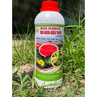 Phân Bón Cho Dưa Hấu Ra Hoa Đậu Trái Max Flower Chai 1 Lít - Hạn Chế Rụng Hoa Và Trái Non