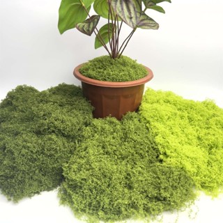 Rêu phủ gốc cây, rêu sợi nhân tạo trang trí chậu cây để bàn, tiểu cảnh, sân vườn nhiều màu, decor tường cỏ, tiệm cà phê