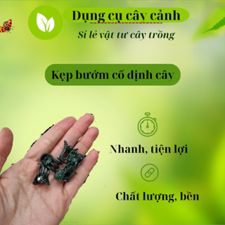 Set 50 kẹp bướm dùng để kẹp cành cây Hoa Lan Đông La, kẹp lan hồ điệp, cố định cành cây