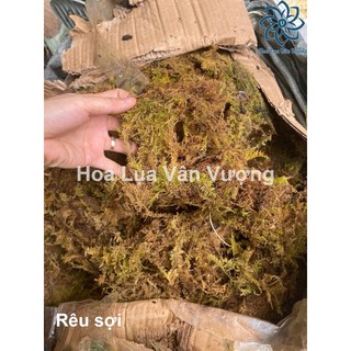 Túi rêu bột rắc gốc cây, lọ hoa, phụ kiệm lắm hoa, Rêu Sợi Nhân Tạo làm Mô Hình