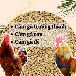 Thức ăn cám gà hiệu con cò cho gà trưởng thành, gà con, gà đẻ chất lượng gía rẻ