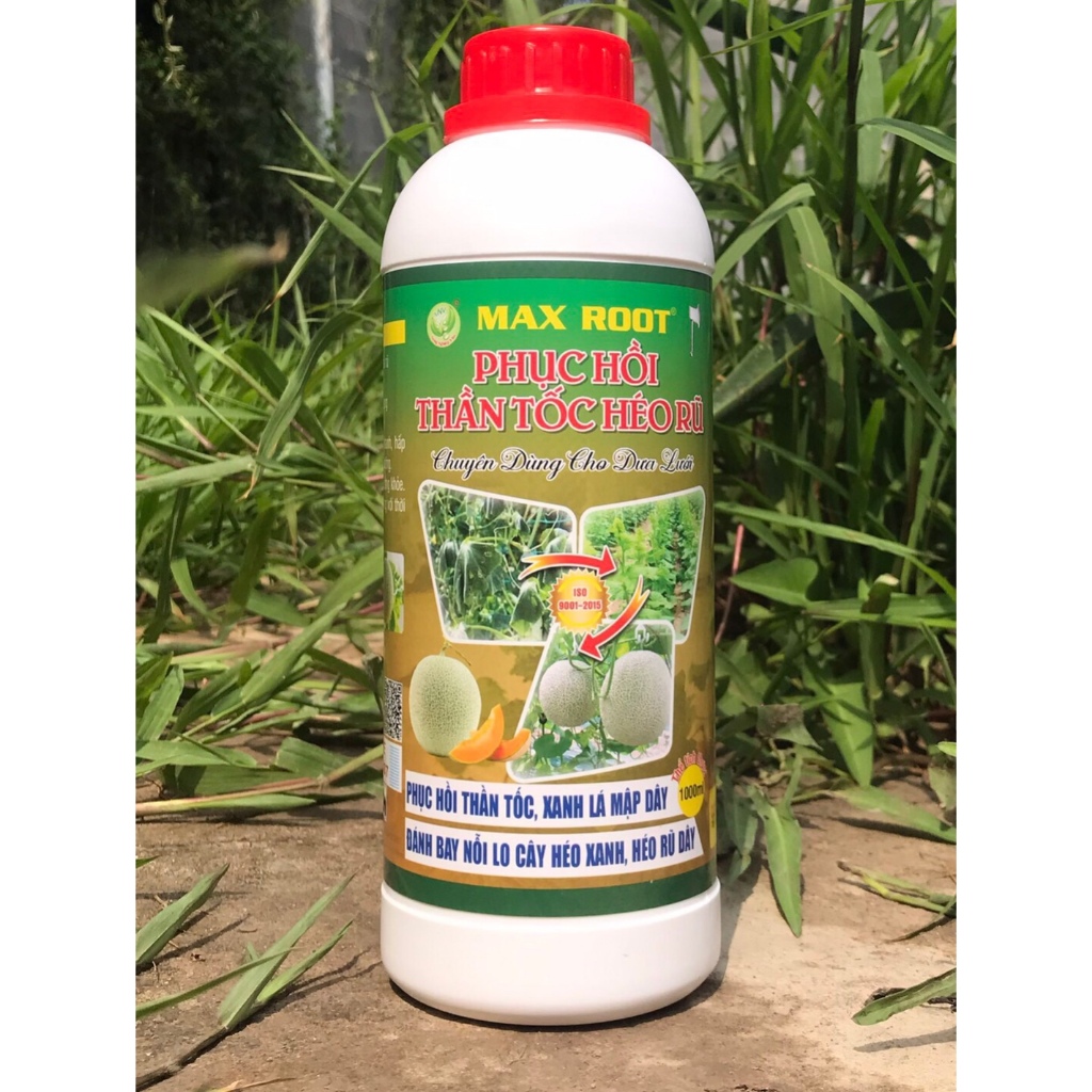 MAX ROOT PHỤC HỒI HÉO RŨ THẦN TỐC 1 LÍT CHUYÊN DƯA LƯỚI