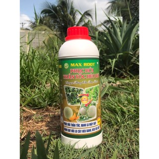 MAX ROOT PHỤC HỒI HÉO RŨ THẦN TỐC 1 LÍT CHUYÊN DƯA LƯỚI
