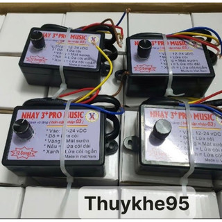 Nhại kèn ô tô 12 tiếng