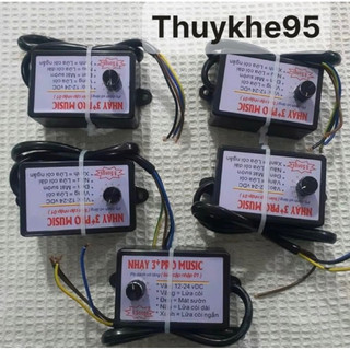 Nhại kèn ô tô 12 tiếng