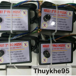 Nhại kèn ô tô 12 tiếng