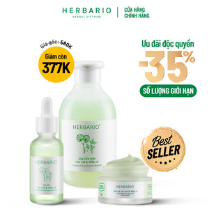 Bộ 3 chăm sóc da mụn cơ bản Rau má & Diếp cá Herbario: Sữa rửa mặt 200ml + Serum 30ml + Mặt nạ 30ml